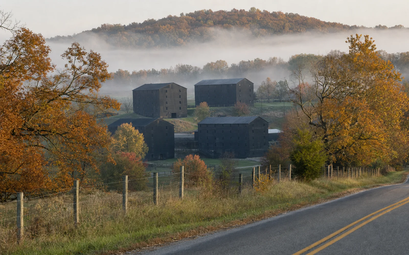 Several tall dark rickhouses on a wooded Kentucky hillside seen from a country road in early morning fog, AI-generated illustration