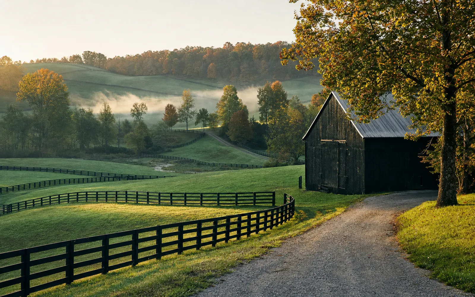 Rolling central Kentucky farmland with a black tobacco barn, plank fences and autumn hills under a wide morning sky, AI-generated illustration