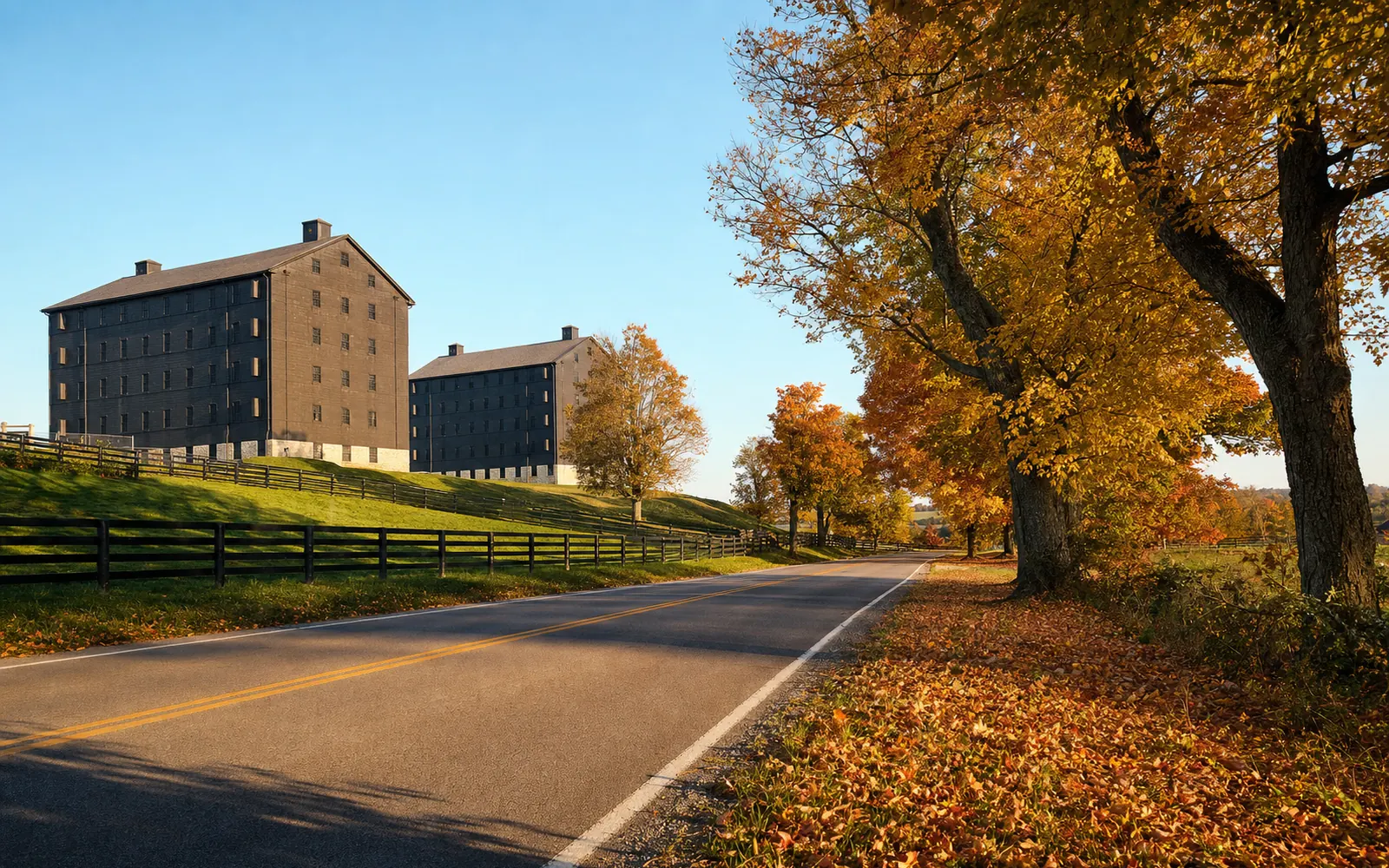 Tall dark rickhouses beside a country road lined with orange and gold trees on a clear October afternoon, AI-generated illustration