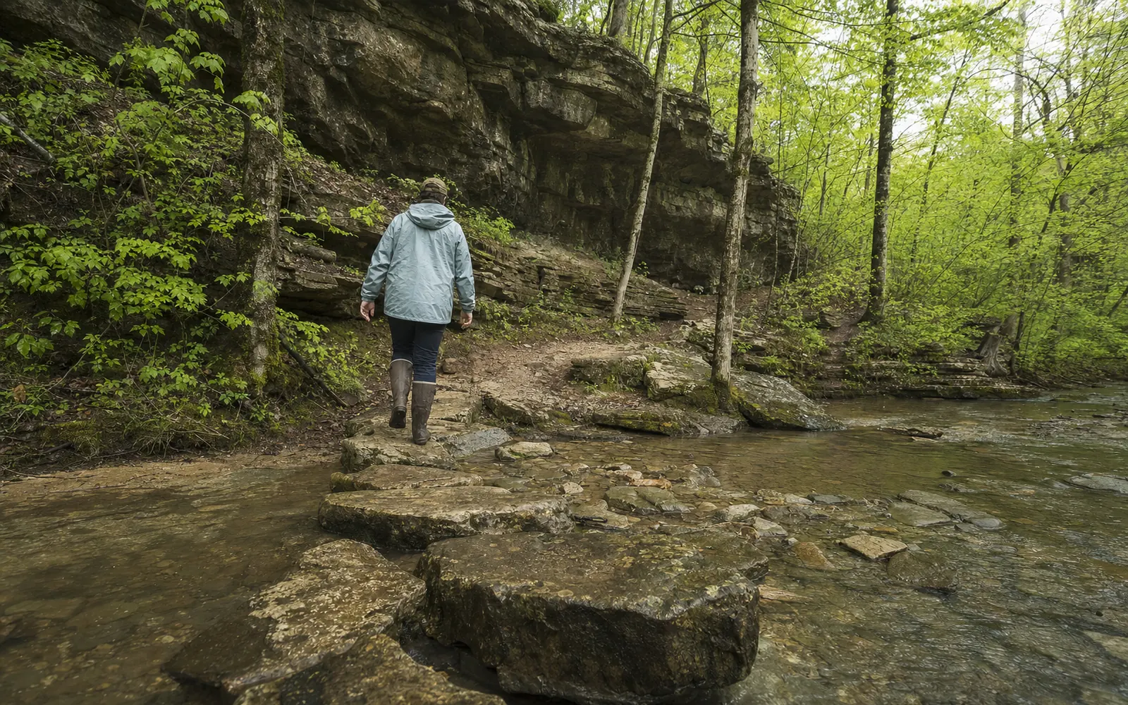 Hiker in boots crossing a shallow rocky creek on a wooded trail below a limestone ledge in spring, AI-generated illustration